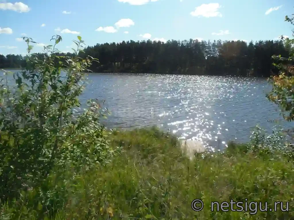 Живописный водоём среди зелени и леса под голубым небом